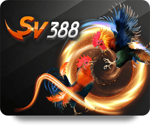 ทำไมคนถึงเลือก Alpha88 ฝากถอน สะดวกสบายและรวดเร็ว?